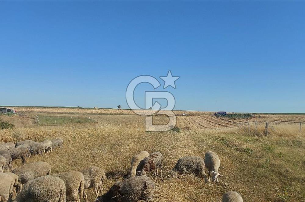 Tekirdağ Ergene Marmaracık'ta satılık 400 m2 Konut Arsası
