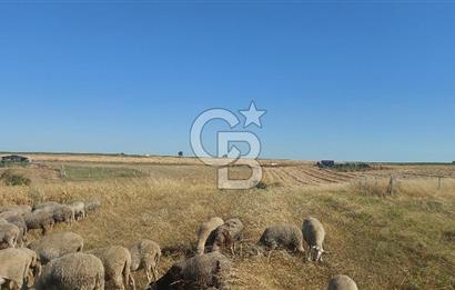 Tekirdağ Ergene Marmaracık'ta satılık 400 m2 Konut Arsası