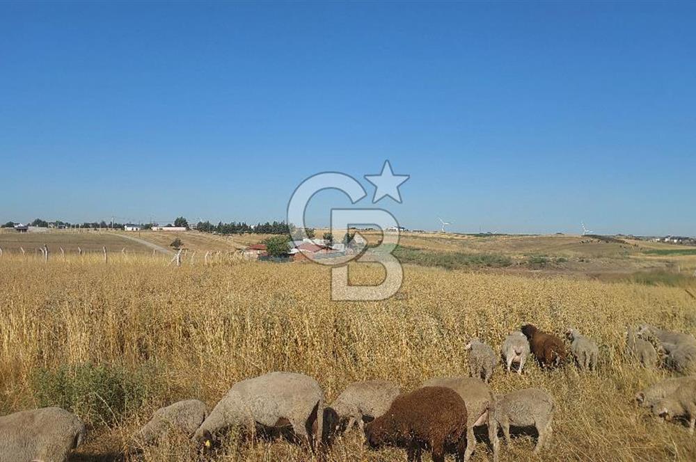 Tekirdağ Ergene Marmaracık'ta satılık 400 m2 Konut Arsası
