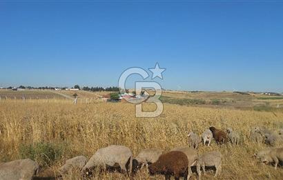 Tekirdağ Ergene Marmaracık'ta satılık 400 m2 Konut Arsası