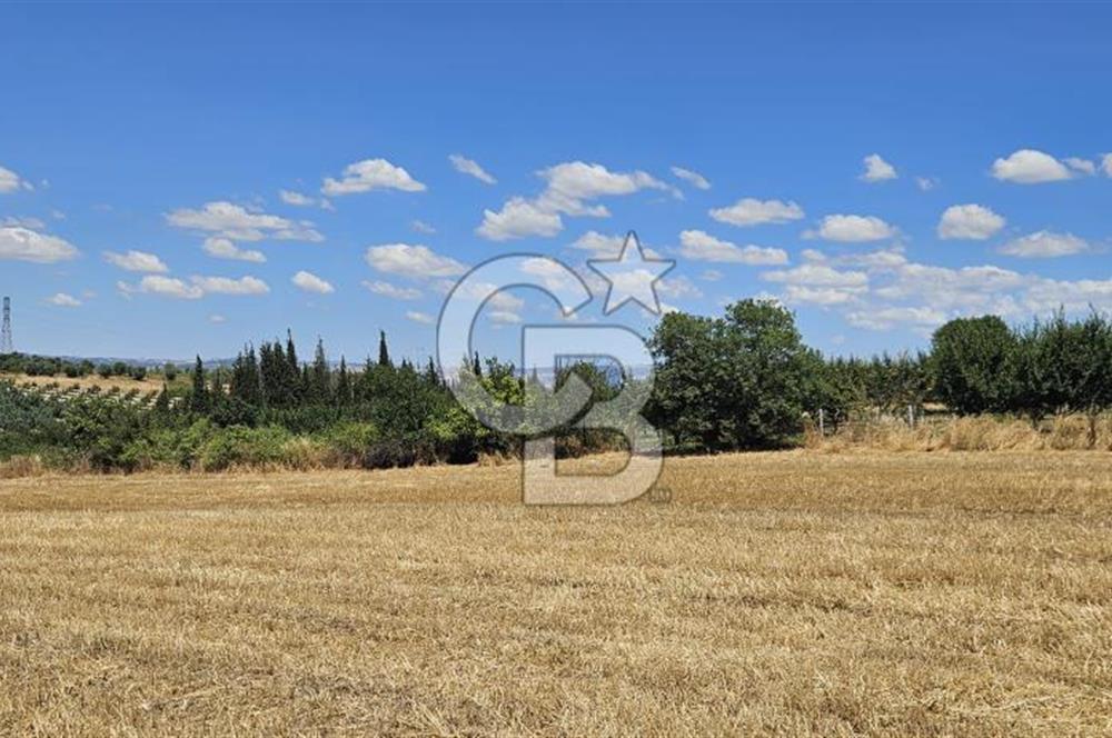 YALOVA ALTINOVA KAYTAZDERE DE UYGUN FİYATA SATLIK 7561 M2 TARLA!
