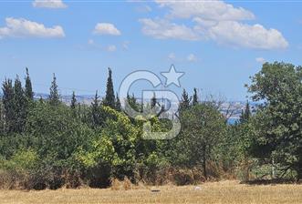 YALOVA ALTINOVA KAYTAZDERE DE UYGUN FİYATA SATLIK 7561 M2 TARLA! - 1 - 355301
