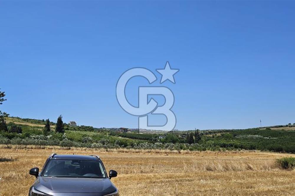 YALOVA ALTINOVA KAYTAZDERE DE UYGUN FİYATA SATLIK 7561 M2 TARLA!