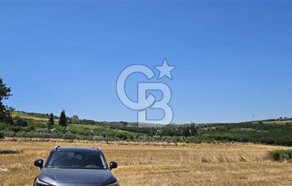 YALOVA ALTINOVA KAYTAZDERE DE UYGUN FİYATA SATLIK 7561 M2 TARLA!