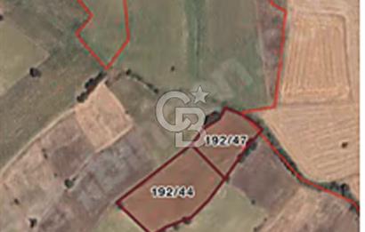 Çanakkale Biga Balıklıçeşme de satılık 7202 m2 tarla