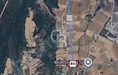 ÇANAKKALE BİGA DEĞİRMENCİK TEK TAPU İMARLI FIRSAT ARSA