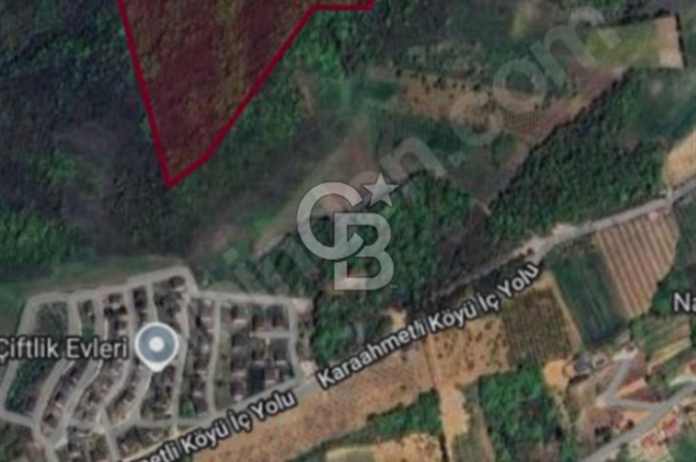 ACİL SATILIK KELEPİR ARAZİ 11.433 m2