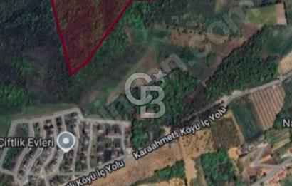 ACİL SATILIK KELEPİR ARAZİ 11.433 m2
