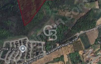 ACİL SATILIK KELEPİR ARAZİ 11.433 m2