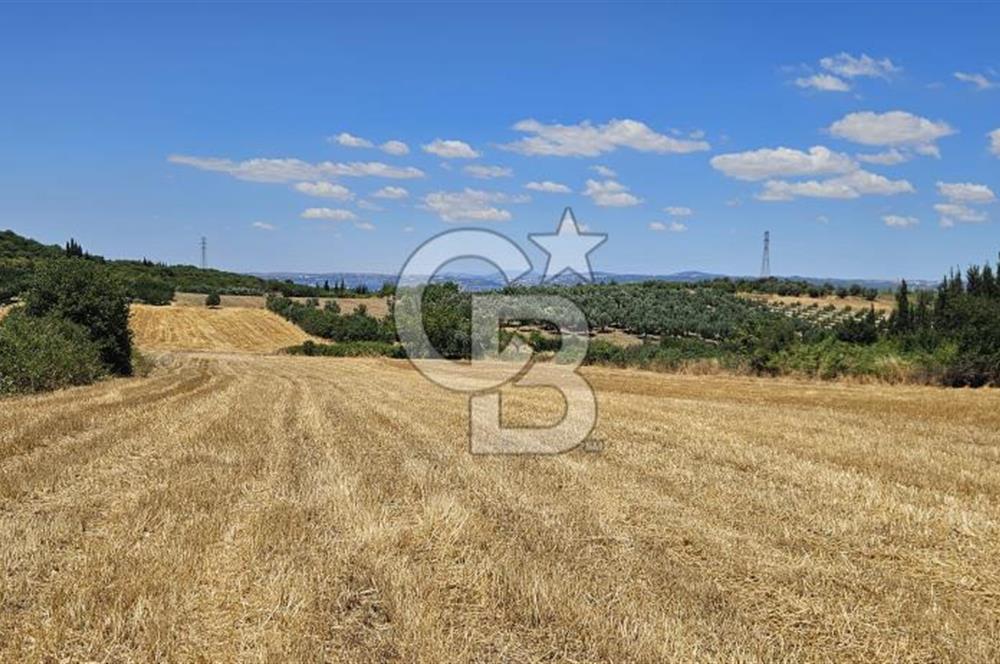 YALOVA ALTINOVA KAYTAZDERE DE UYGUN FİYATA SATLIK 7561 M2 TARLA!