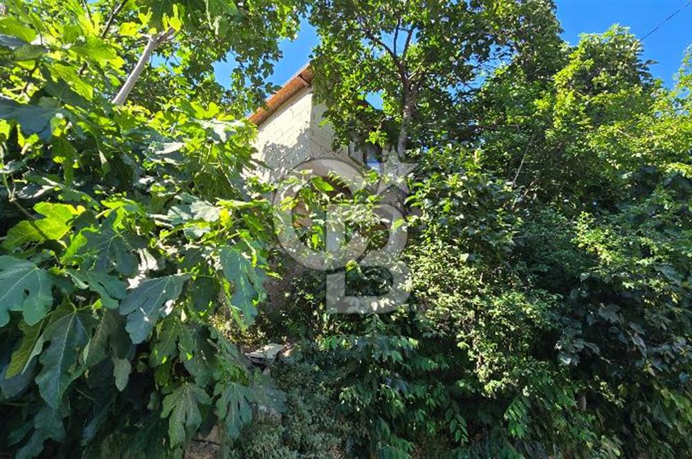 Fırsat  Satılık Müstakil Ev Sarıyer