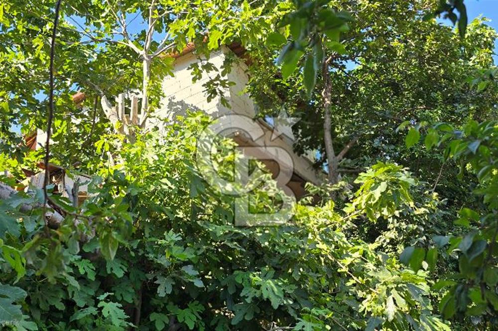 Fırsat  Satılık Müstakil Ev Sarıyer