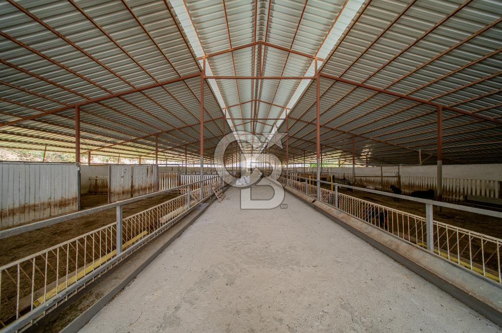 MANAVGAT ÇALTEPE'DE MUAZZAM ARAZİSİ İLE SATILIK ÇİFTLİK