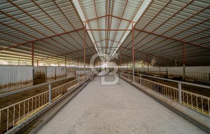 MANAVGAT ÇALTEPE'DE MUAZZAM ARAZİSİ İLE SATILIK ÇİFTLİK
