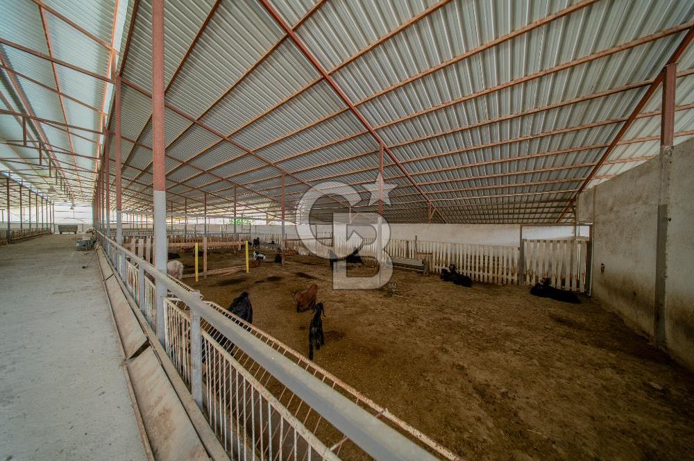MANAVGAT ÇALTEPE'DE MUAZZAM ARAZİSİ İLE SATILIK ÇİFTLİK
