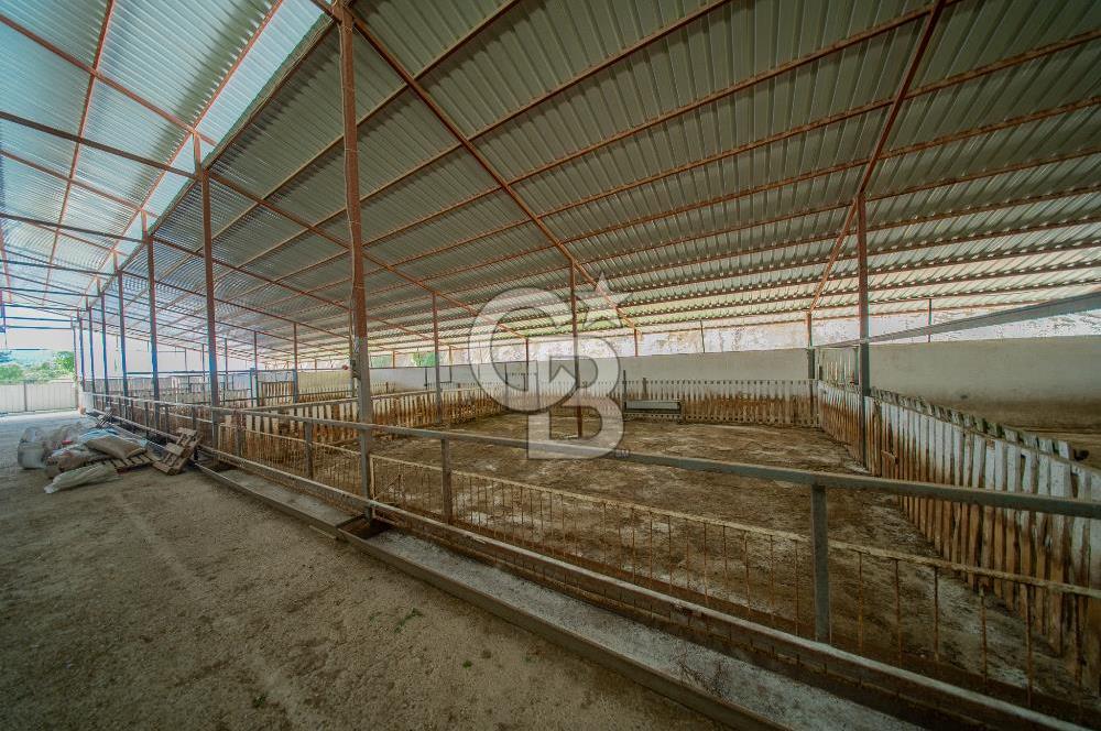 MANAVGAT ÇALTEPE'DE MUAZZAM ARAZİSİ İLE SATILIK ÇİFTLİK