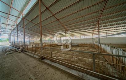 MANAVGAT ÇALTEPE'DE MUAZZAM ARAZİSİ İLE SATILIK ÇİFTLİK