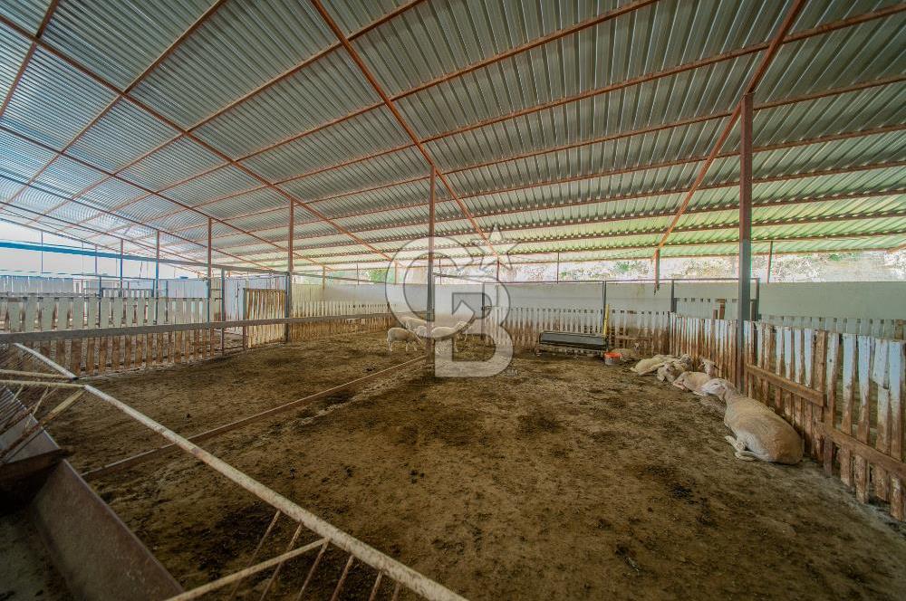 MANAVGAT ÇALTEPE'DE MUAZZAM ARAZİSİ İLE SATILIK ÇİFTLİK