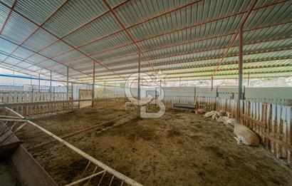 MANAVGAT ÇALTEPE'DE MUAZZAM ARAZİSİ İLE SATILIK ÇİFTLİK