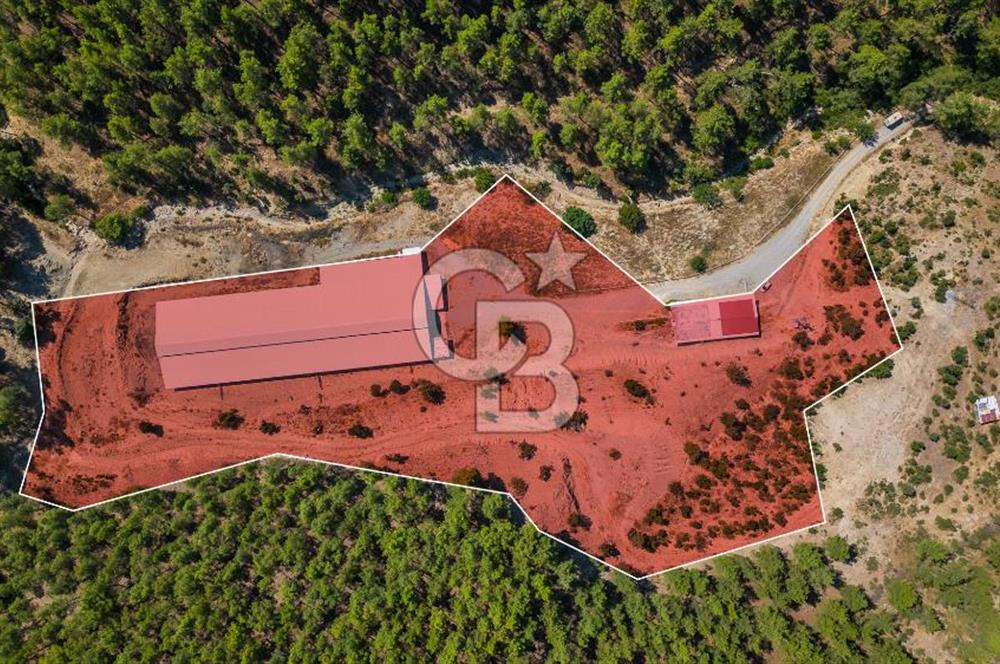 MANAVGAT ÇALTEPE'DE MUAZZAM ARAZİSİ İLE SATILIK ÇİFTLİK