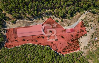 MANAVGAT ÇALTEPE'DE MUAZZAM ARAZİSİ İLE SATILIK ÇİFTLİK