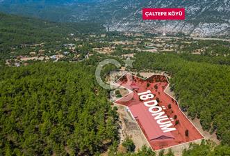 MANAVGAT ÇALTEPE'DE MUAZZAM ARAZİSİ İLE SATILIK ÇİFTLİK - 1 - 355366