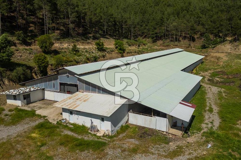 MANAVGAT ÇALTEPE'DE MUAZZAM ARAZİSİ İLE SATILIK ÇİFTLİK