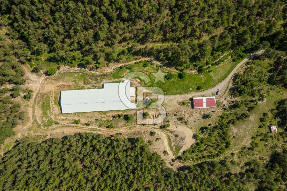 MANAVGAT ÇALTEPE'DE MUAZZAM ARAZİSİ İLE SATILIK ÇİFTLİK