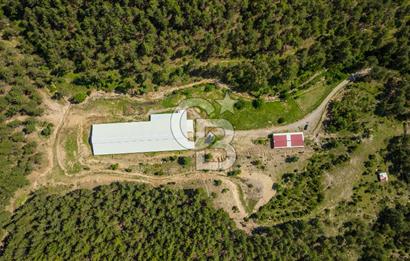 MANAVGAT ÇALTEPE'DE MUAZZAM ARAZİSİ İLE SATILIK ÇİFTLİK
