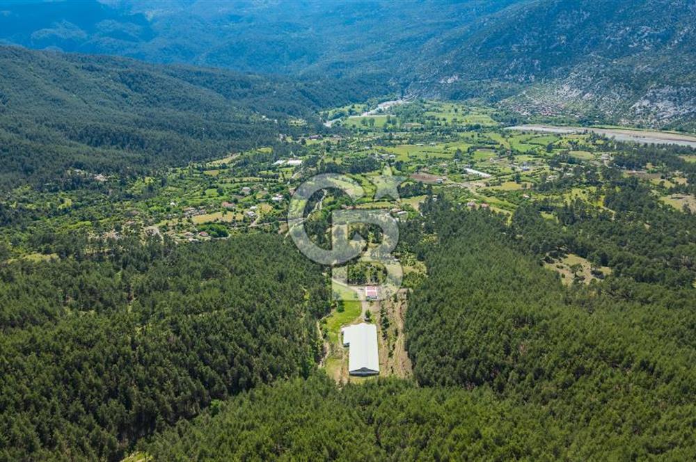 MANAVGAT ÇALTEPE'DE MUAZZAM ARAZİSİ İLE SATILIK ÇİFTLİK