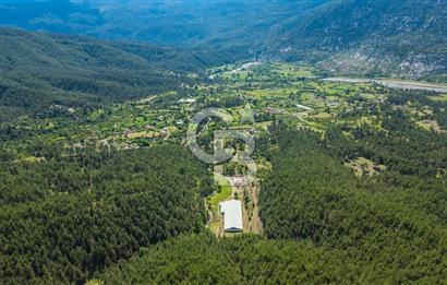 MANAVGAT ÇALTEPE'DE MUAZZAM ARAZİSİ İLE SATILIK ÇİFTLİK