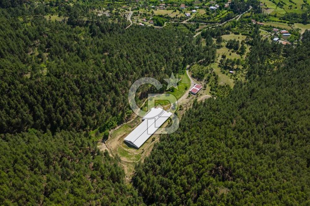 MANAVGAT ÇALTEPE'DE MUAZZAM ARAZİSİ İLE SATILIK ÇİFTLİK