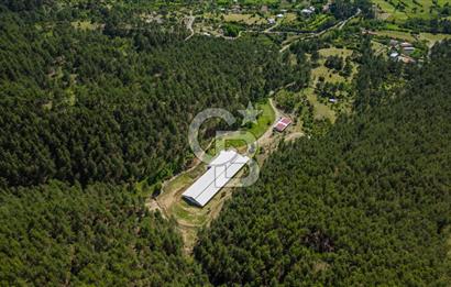 MANAVGAT ÇALTEPE'DE MUAZZAM ARAZİSİ İLE SATILIK ÇİFTLİK