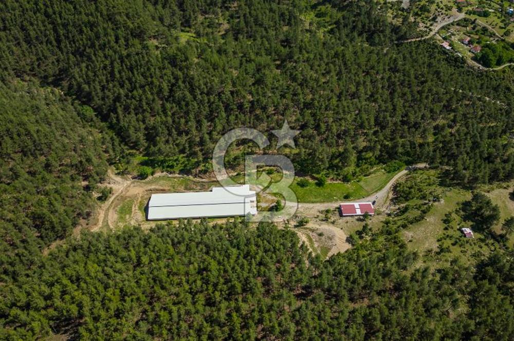 MANAVGAT ÇALTEPE'DE MUAZZAM ARAZİSİ İLE SATILIK ÇİFTLİK