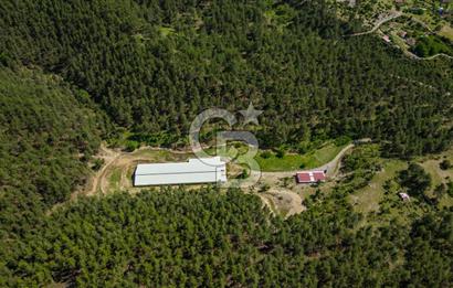 MANAVGAT ÇALTEPE'DE MUAZZAM ARAZİSİ İLE SATILIK ÇİFTLİK