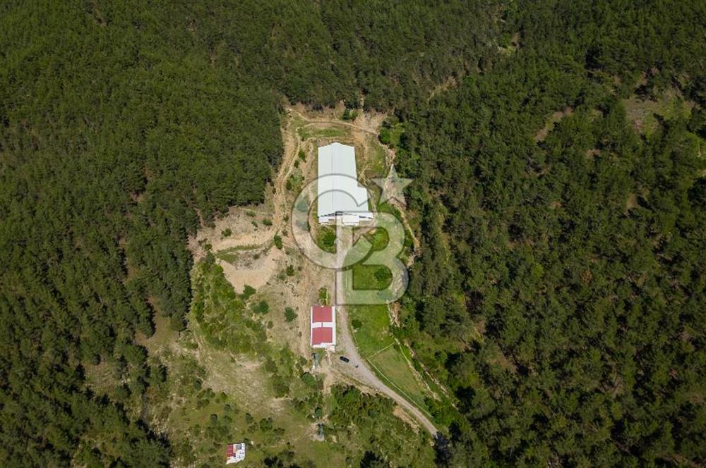 MANAVGAT ÇALTEPE'DE MUAZZAM ARAZİSİ İLE SATILIK ÇİFTLİK
