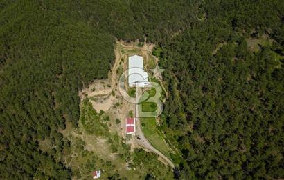 MANAVGAT ÇALTEPE'DE MUAZZAM ARAZİSİ İLE SATILIK ÇİFTLİK