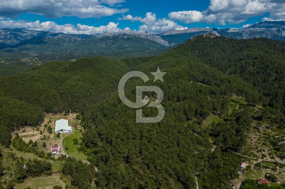 MANAVGAT ÇALTEPE'DE MUAZZAM ARAZİSİ İLE SATILIK ÇİFTLİK