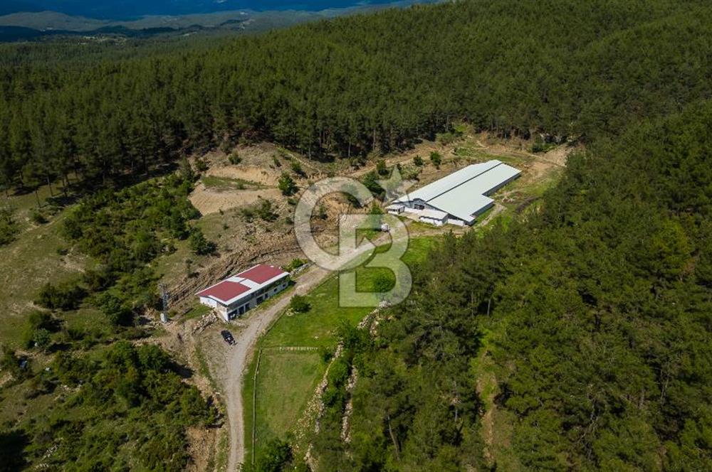 MANAVGAT ÇALTEPE'DE MUAZZAM ARAZİSİ İLE SATILIK ÇİFTLİK