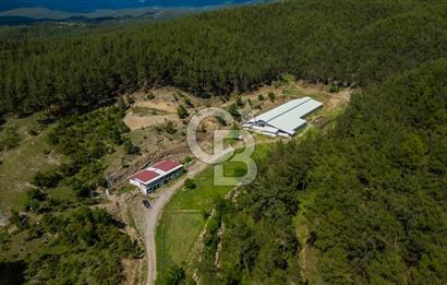 MANAVGAT ÇALTEPE'DE MUAZZAM ARAZİSİ İLE SATILIK ÇİFTLİK
