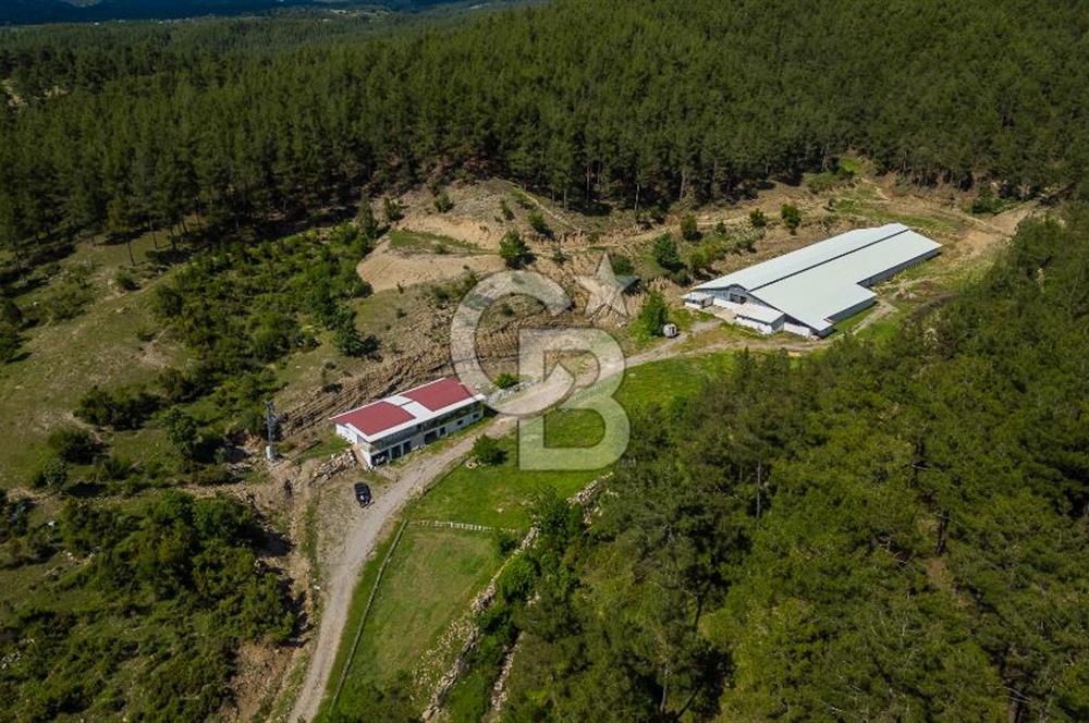 MANAVGAT ÇALTEPE'DE MUAZZAM ARAZİSİ İLE SATILIK ÇİFTLİK