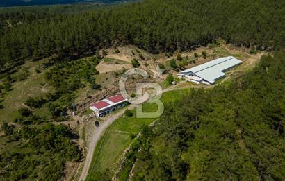 MANAVGAT ÇALTEPE'DE MUAZZAM ARAZİSİ İLE SATILIK ÇİFTLİK