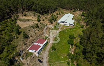 MANAVGAT ÇALTEPE'DE MUAZZAM ARAZİSİ İLE SATILIK ÇİFTLİK
