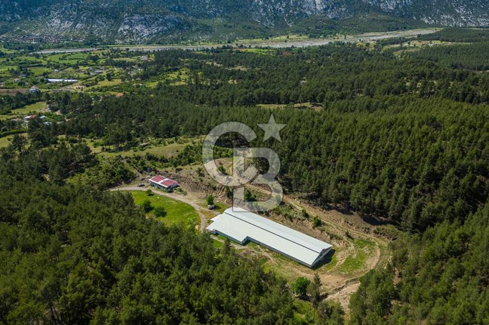 MANAVGAT ÇALTEPE'DE MUAZZAM ARAZİSİ İLE SATILIK ÇİFTLİK