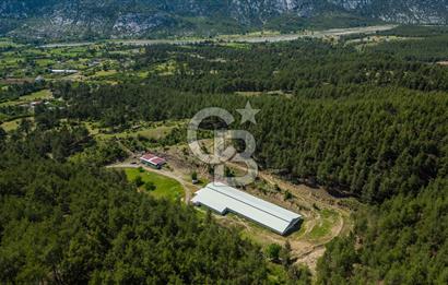 MANAVGAT ÇALTEPE'DE MUAZZAM ARAZİSİ İLE SATILIK ÇİFTLİK