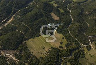 CB EAGLE'Dan KÜTAHYA GEDİZ'DE 337 m² SATILIK TARLA - 5 - 351266