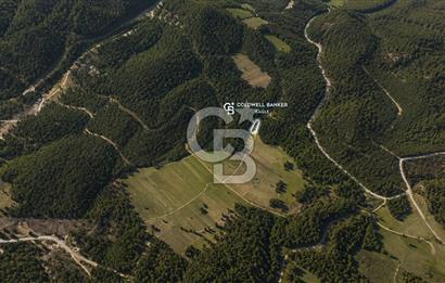 CB EAGLE'Dan KÜTAHYA GEDİZ'DE 337 m² SATILIK TARLA