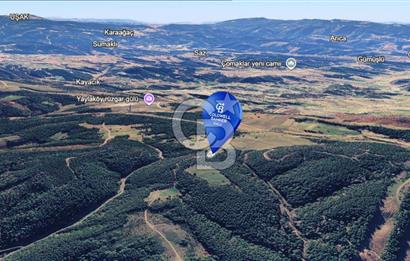CB EAGLE'Dan KÜTAHYA GEDİZ'DE 337 m² SATILIK TARLA