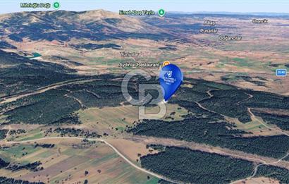 CB EAGLE'Dan KÜTAHYA GEDİZ'DE 337 m² SATILIK TARLA