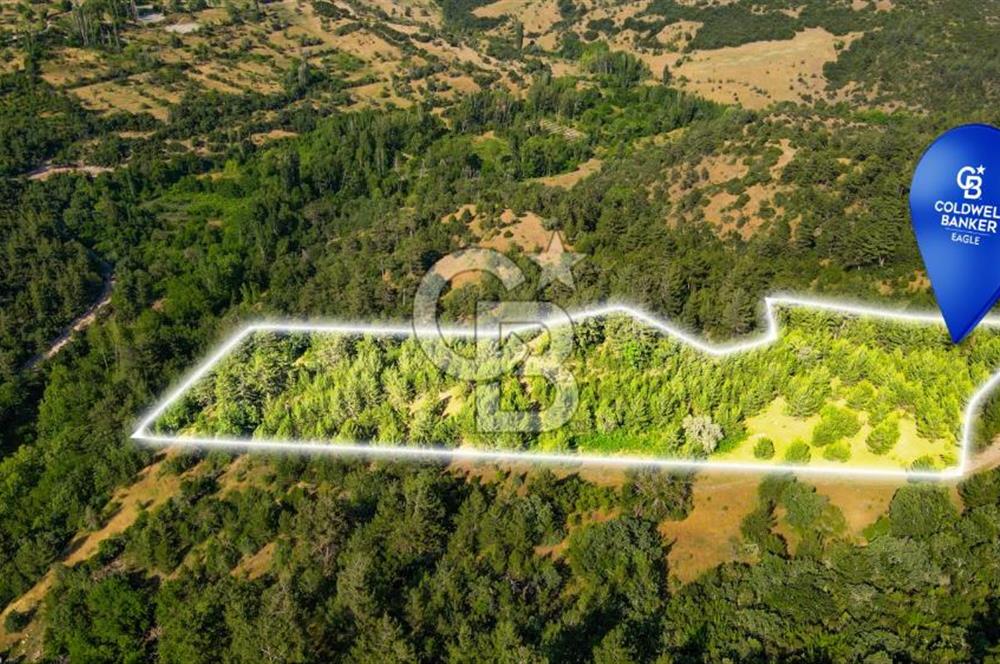 CB Eagle'Dan DURSUNBEY GÖKÇEDAĞ'DA 12.966 m² SATILIK TARLA 
